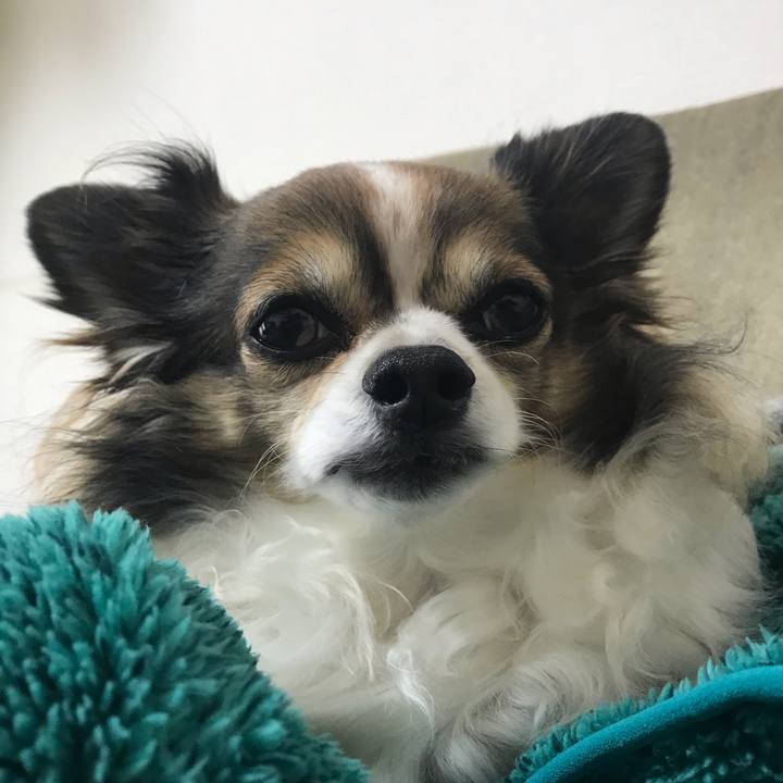 1db2e202 e247 4047 9059 bf0b7b554015 1615540508306