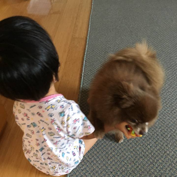 1db2ee81 2c21 4e4e a8b1 ab99615d84fe 1530684252568