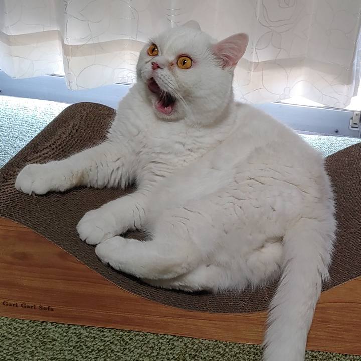 1db31237 e80d 4359 8a88 bc7c96a0352e 1627099977785