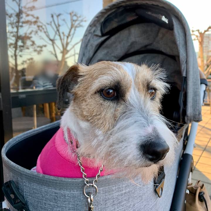 1db33a88 3f88 4175 8fc6 6f392418c1ac 1610276316199