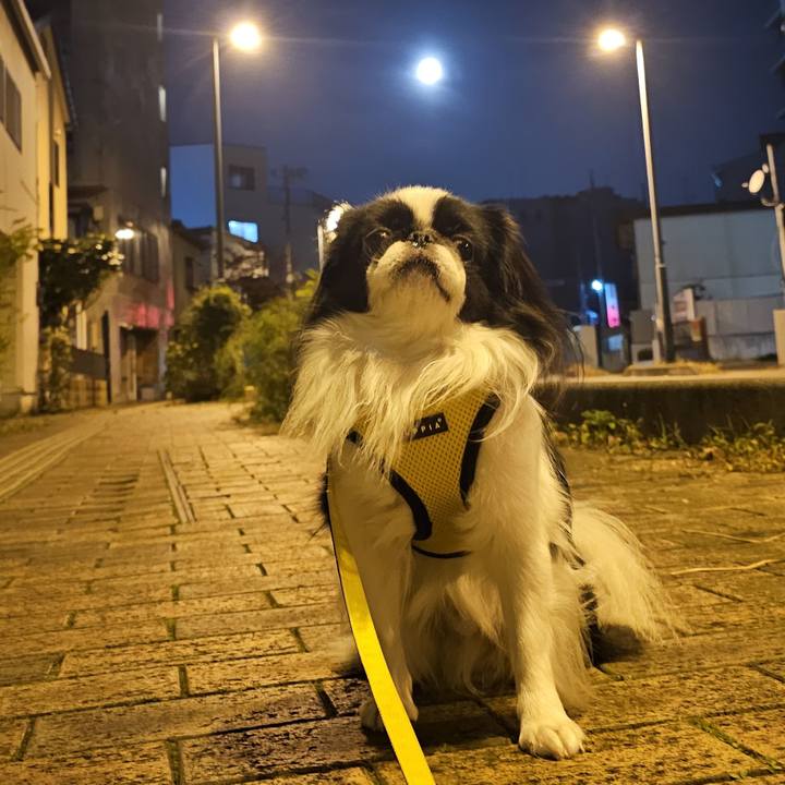 1db34a57 694f 40f0 b901 4069ef29a06a 1731706962288