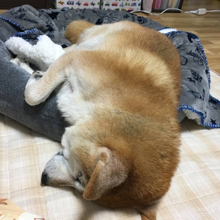 1db3721d 5cc5 46de 8c9d 19d19af8b242 1513822705861