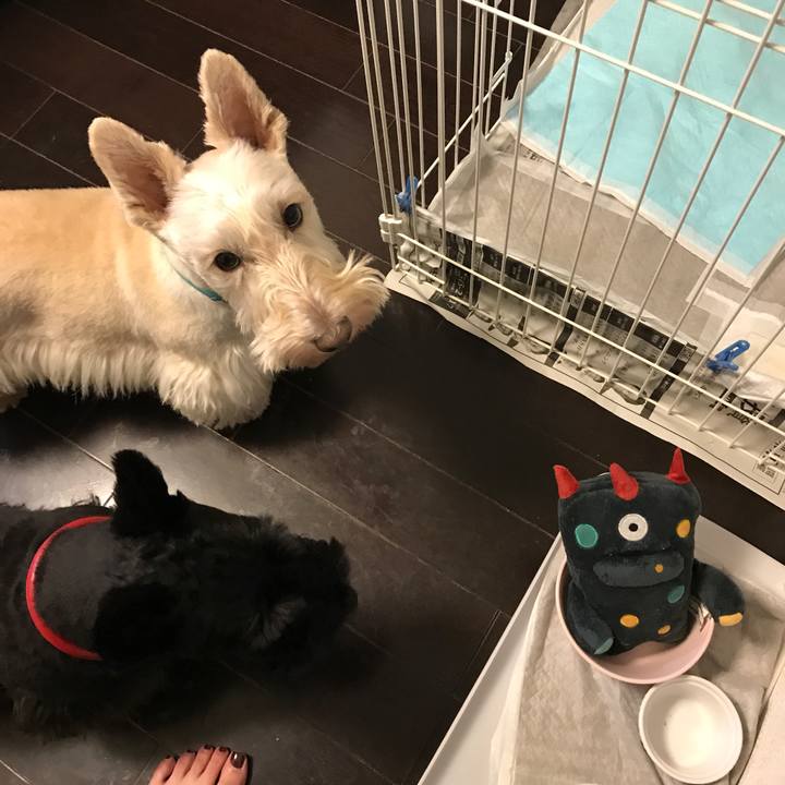 1db39979 3af6 44b7 b500 e307f0155fe9 1537438944541