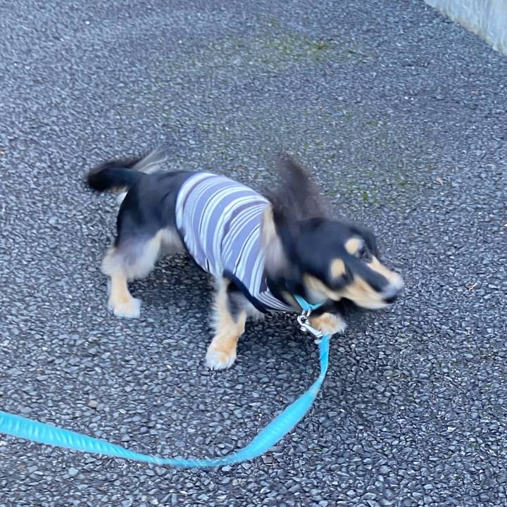 1db3a30e e4fd 44ae b4c2 a279d0033a38 1728818584438