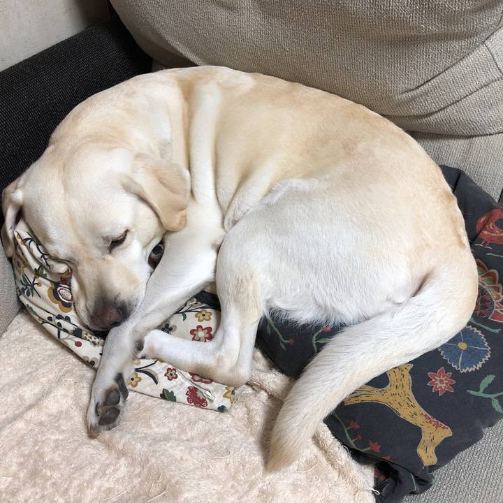 1db3af7a 9413 486a b959 3fd70eff6356 1569286577818