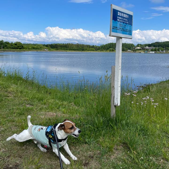 1db3b287 ce49 40e2 9d20 38e37b238b58 1717491600715