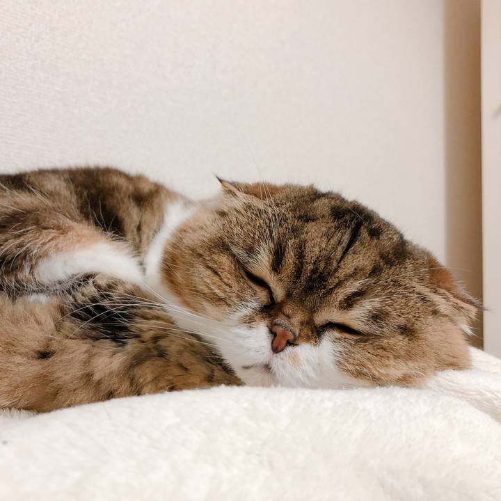 1db3cbaf 6d71 4b76 bd08 51920ea90b18 1555695954982