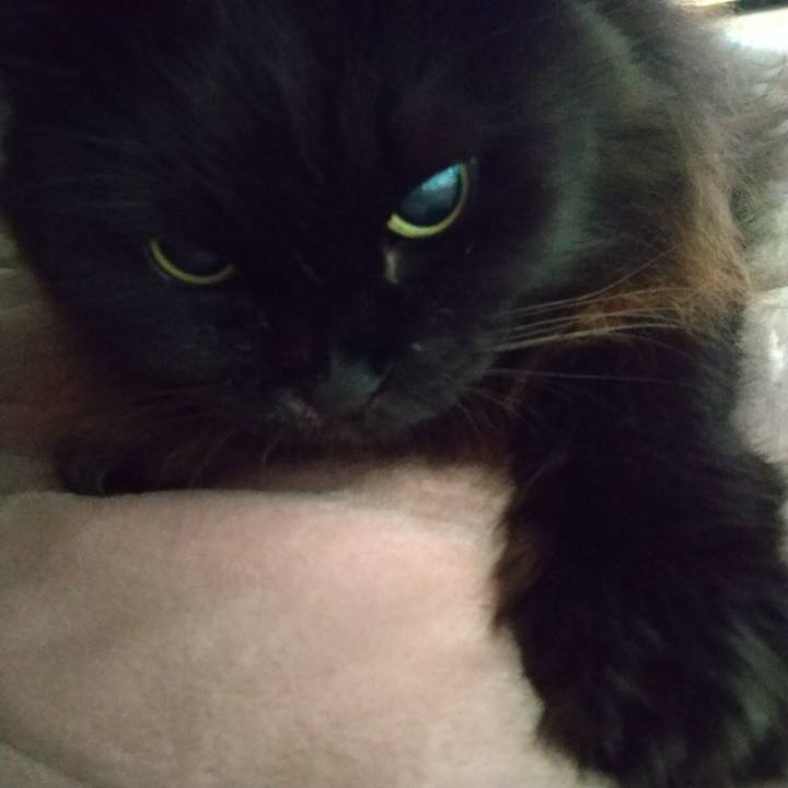 1db3d7fb 5b59 4d43 81f2 6ff52b3b5e67 1670111458555