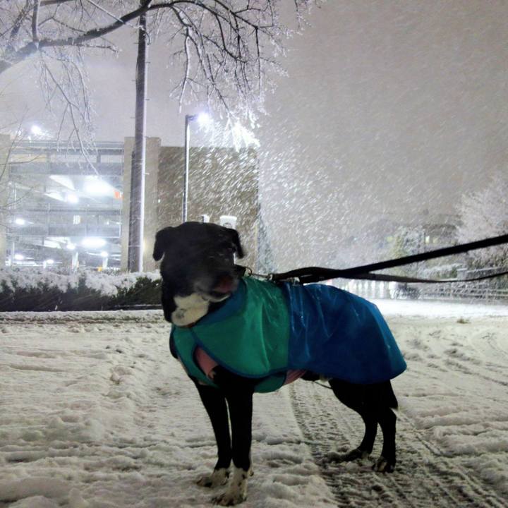 1db3f965 b785 4d33 ab9e d77ca6825a76 1707131878034