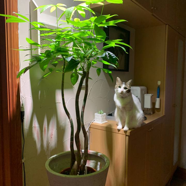 1db40c34 9d5c 428c a691 bcdb05aeb879 1664921271714