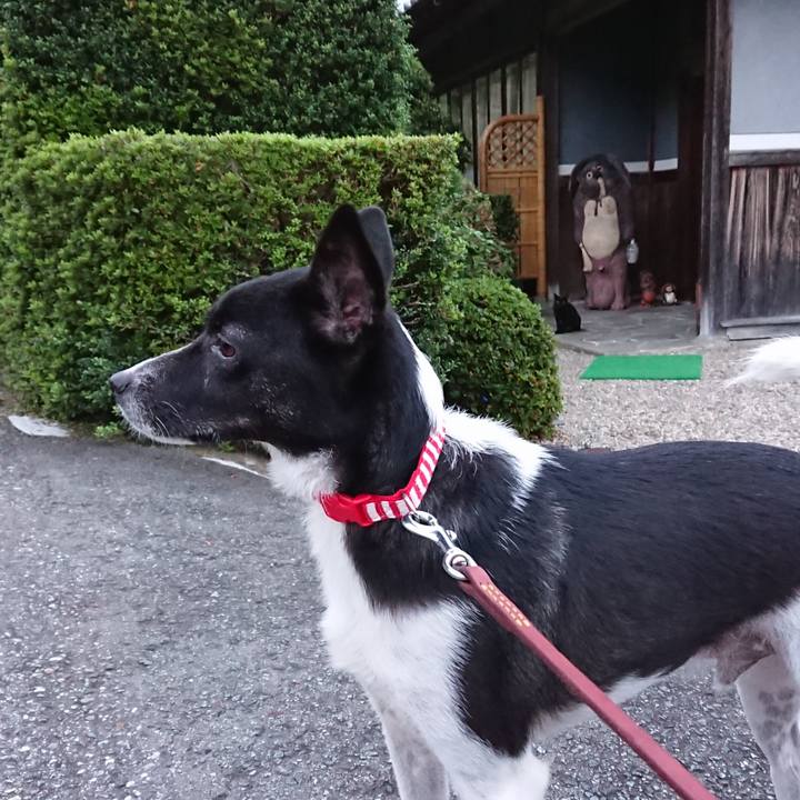 1db424cb 2c9e 44d0 9064 07a0b555ac25 1537089007556