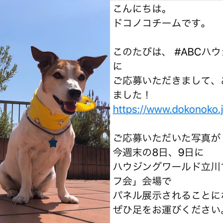 1db42d05 ca31 4635 b601 4213d93c9d3d 1559823299062