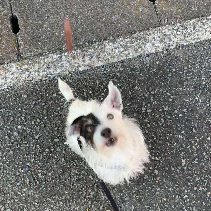 1db45664 475a 407d a0f9 ecca3fc0ecff 1697841992218