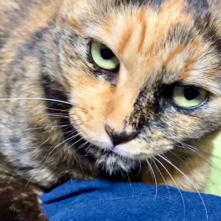 1db45b04 a13f 4136 9b50 d67f1ea7eb3e 1732873233697