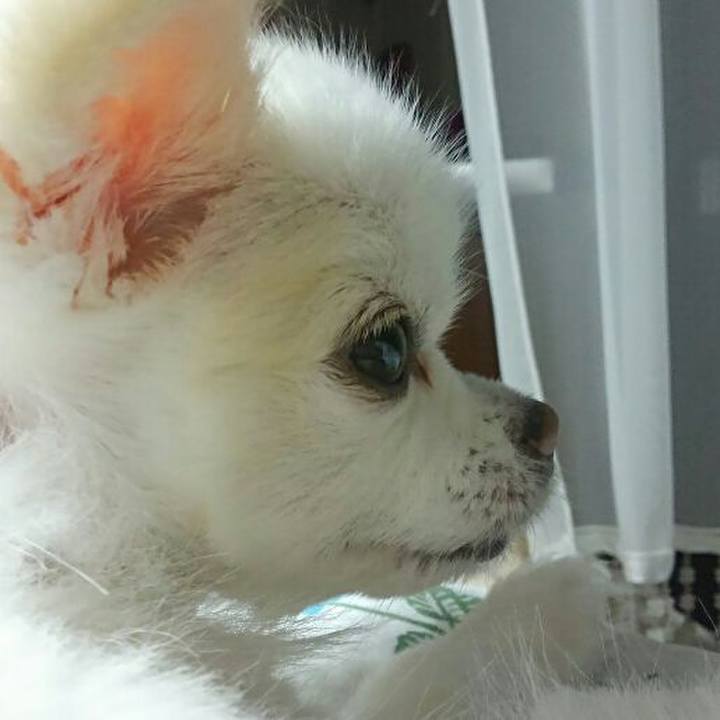 1db4a328 2c89 414b bb4e 95a9957933d7 1570622098789