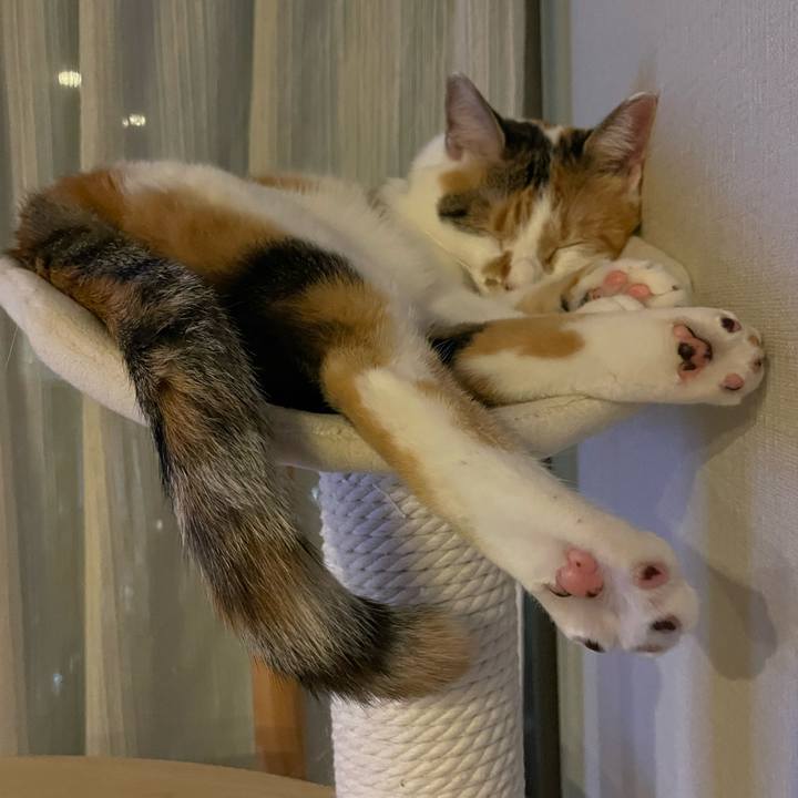 1db4b160 5fc7 426f a67e 50e99438fefc 1664626841525