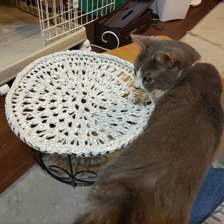 1db4b262 4ae8 4db2 97ac 3f23a7ec1623 1665408667501