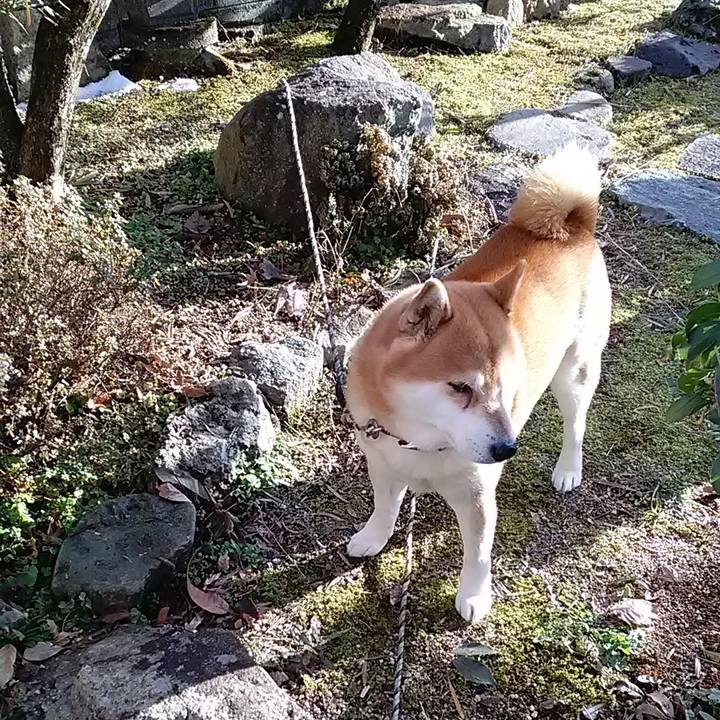 1db4bcd1 2293 4296 a210 8733fd5726fc 1674892834803