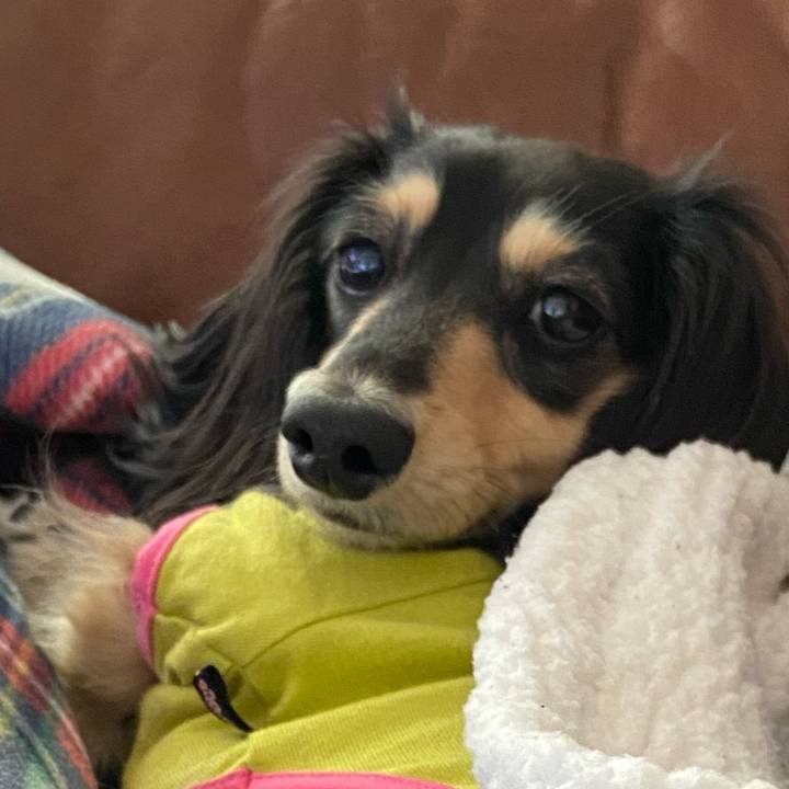 1db51016 cd6d 4aaa b9bc c4ef60366e91 1742192422015