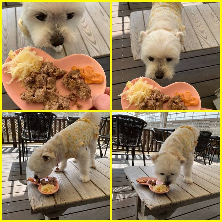 1db52b88 ccca 424e 8ce7 991ac3f51718 1616236923925