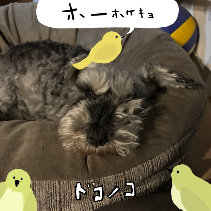 1db54ff0 0afc 41d9 8cc7 cb3eb8104822 1711460930650