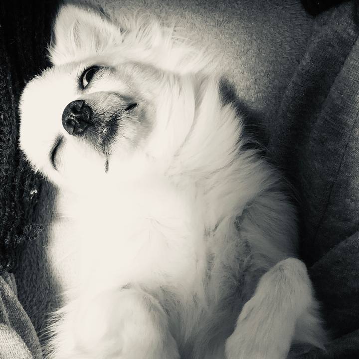 1db563cc cb2a 4eee a77a 00e704fbe4cd 1547281102236