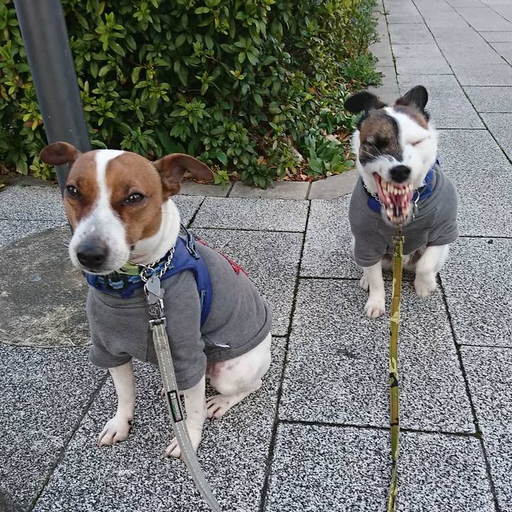 1db5999b 0b10 4a1d a0be 1fabaa26b4ba 1580855583826