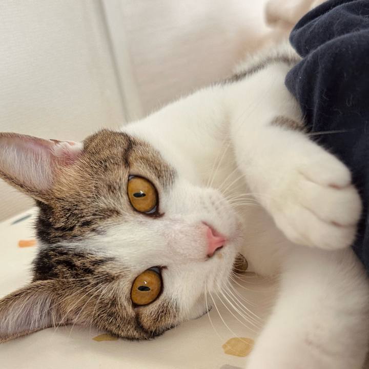 1db59bda 8052 4ae5 80a7 7e1ec31490b7 1758592428903