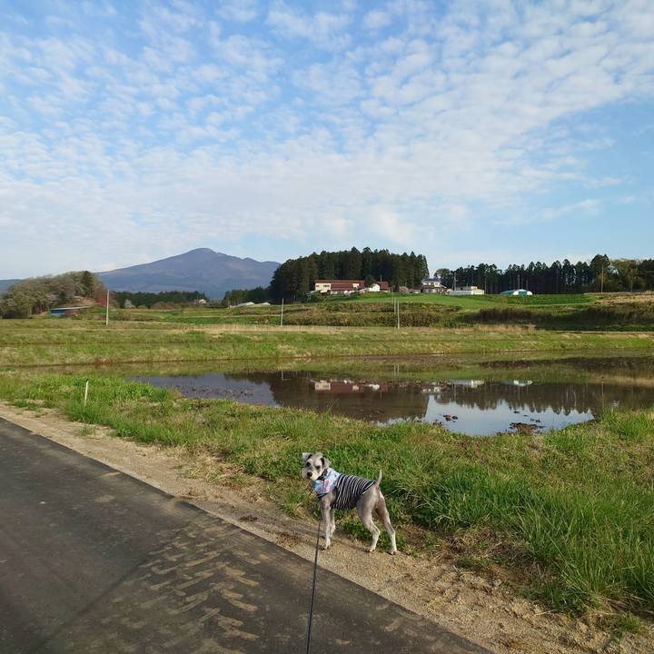 1db5a844 494c 4f41 99c4 7b6b24e7691e 1776468250784