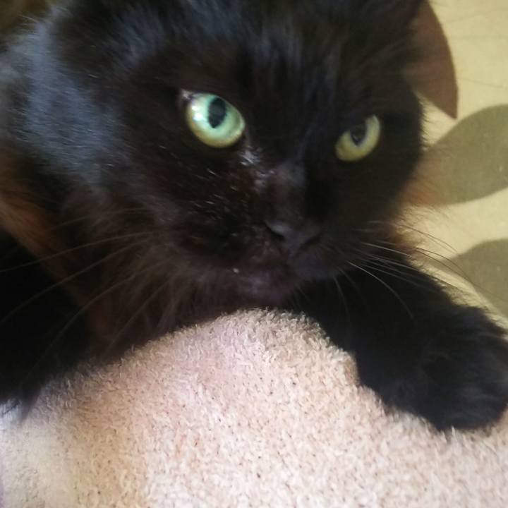 1db5e05f 4d60 4938 902e cb99ef5c3749 1574290327464