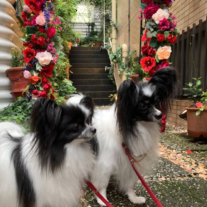 1db620e5 8449 4b00 976a a3b116da75f2 1568617840169