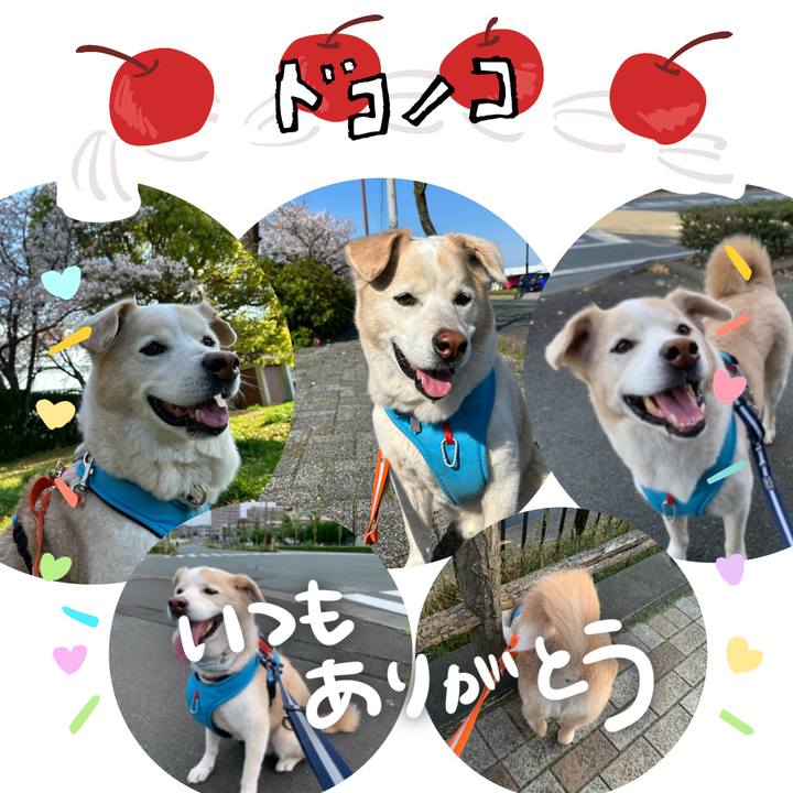 1db62389 bde2 4547 8125 103059f66ff7 1685970327742