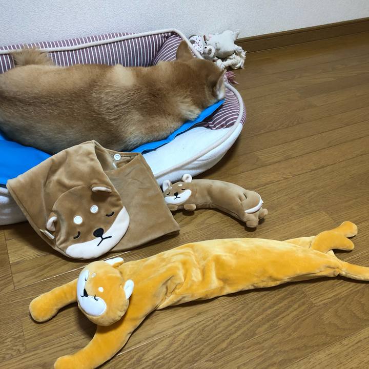 1db62b4e 672b 4692 adaf ea55efc0b04f 1599350010416