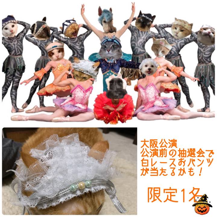 1db6312c c2cd 4582 b4fb f83d058e655f 1570418446524