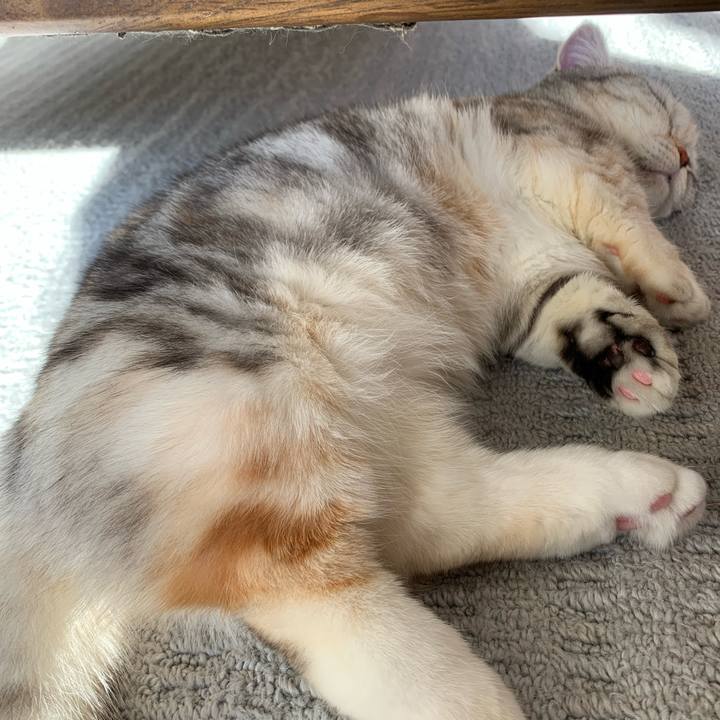 1db63367 15d0 4a6a 83ba 2dbbe330feb4 1708213058225