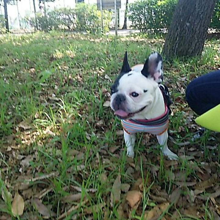 1db663ab 365e 418b 860a 3c35432397d1 1526129978881