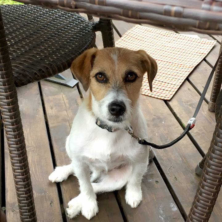 1db671ab 0c79 4ec4 a63f 68c50da3bbf3 1568361570096