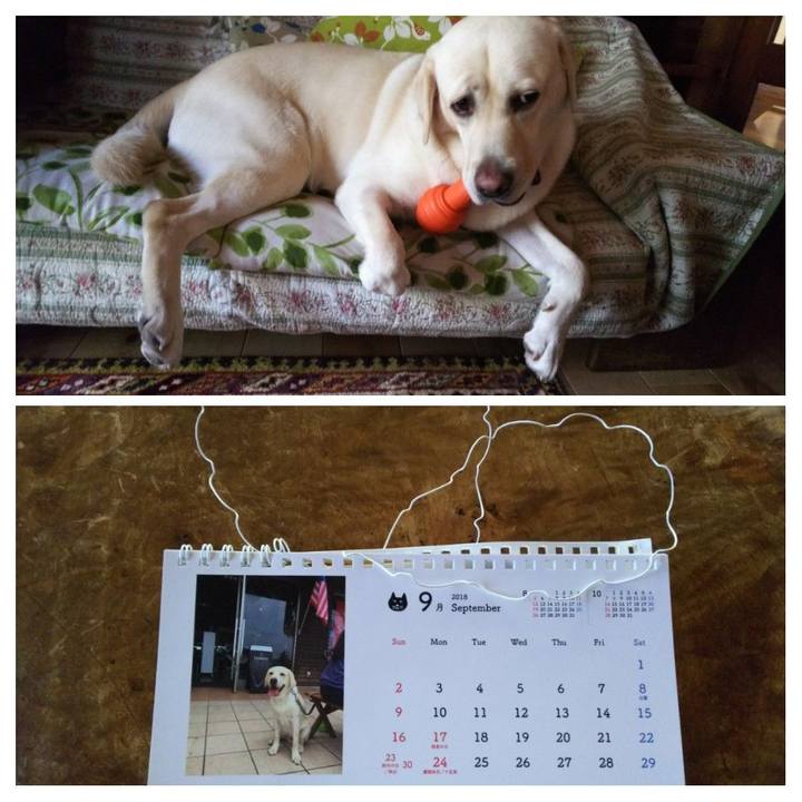 1db69013 411d 491c 9877 e264ed555c01 1536131753322