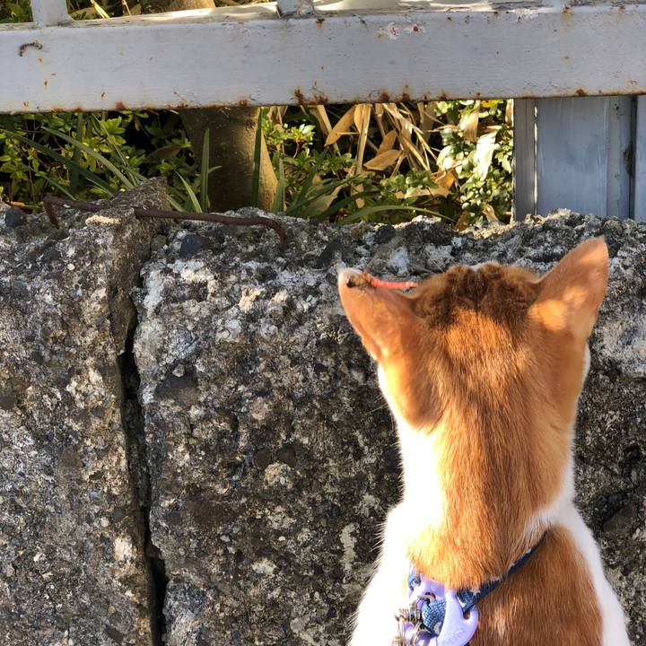 1db6aaf8 8eab 4de0 9819 f7f9ded0a3e0 1541221566787