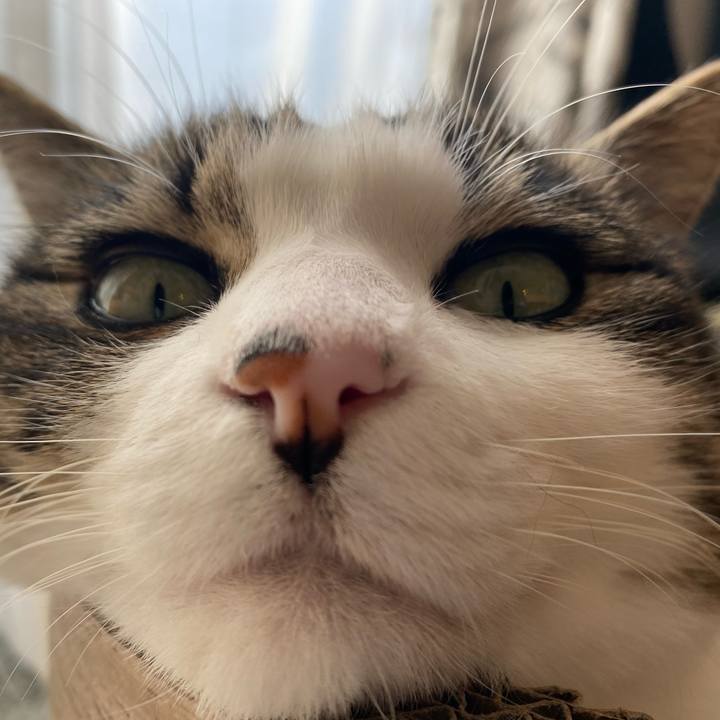 1db6c9d7 cc67 49d4 afb4 16295151bf27 1639188929073