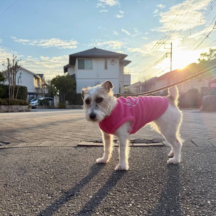 1db6eaab 55bd 4a41 a32c 3ad60bad9380 1766227675785