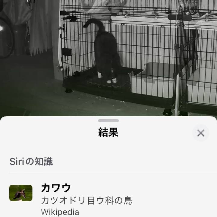 1db6f4f8 9ccd 4ee1 ac17 9c44e48d833e 1736020663274