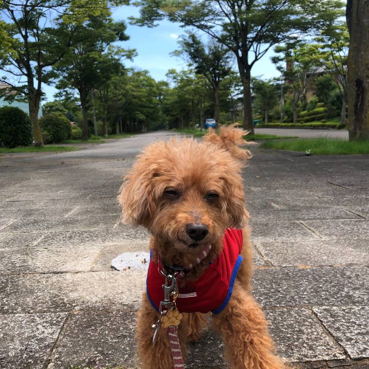 1db6fea0 27d9 4dbc bef6 7d839a253a5b 1596353350041