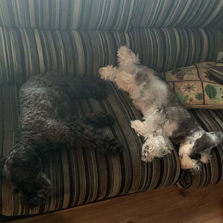 1db700d6 d3fb 4d50 b387 55d07822349c 1629875044581