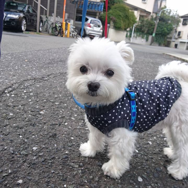 1db70798 45ec 4141 aae1 7d169d120bf6 1513207440431