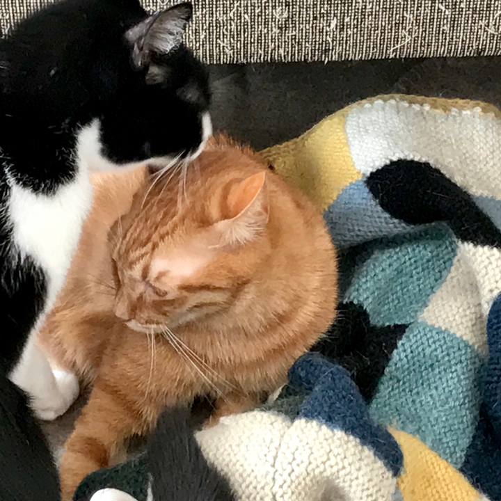 1db721fb 73a4 4b25 be58 6a307f1ce641 1550465110812