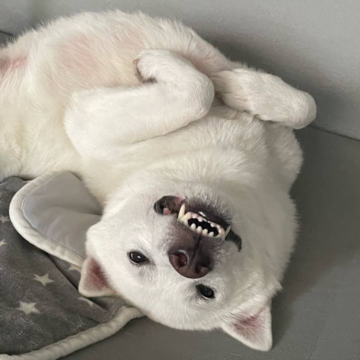 1db7311e 507b 484e a331 bc6e6c896e93 1701428196736