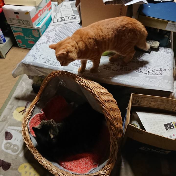 1db73905 132e 42bc aeba 34d9bd7c02d9 1639999029201