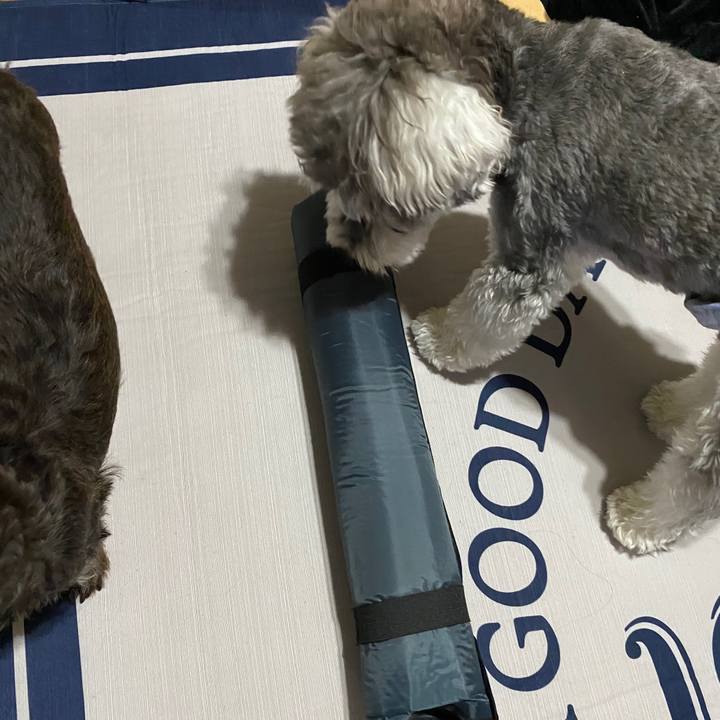 1db74b37 2d03 4990 8c1a fe26e86080b5 1595675442814