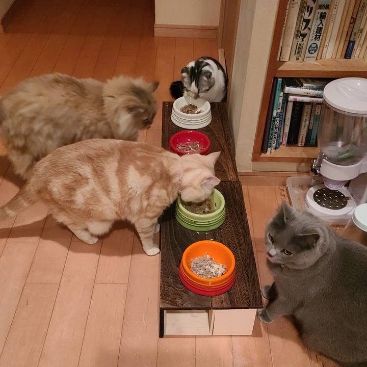 1db74f9e 4225 4bd8 8b6c 206c3f81de75 1637056778247